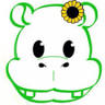 HIppo Events