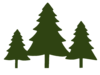 Holiday Acres Christmas Tree Farm