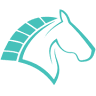 Iceni Financial Advisers Ltd