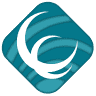 Imaging Services Inc