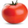 The Killer Tomato Pizzeria - Newton
