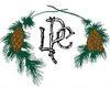 Lake Placid Club