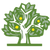 The Lemon Tree