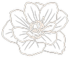 The Magnolia