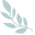 The Medical Skin Clinic