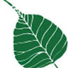 The Natural Way