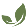 The Organic Bedroom
