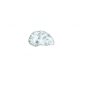 Oyster Farm Seafood Eatery