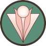 The Pointed Pearl Skincare