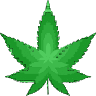 The Pot Doctor | TPD Oliver | Indigenous Cannabis Dispensary