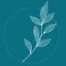 The Prana Project