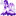 The Purple Mermaid