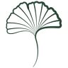 Therapies on Palla