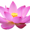 Therapy Asian Massage