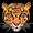 ROOF TIGER