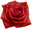 The Scarlet Flower