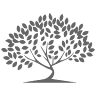 The Shutter Tree