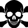 the social distortion