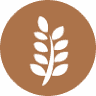 The Source Bulk Foods Kitsilano