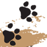 The Tiger Safari Tours LLP