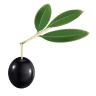 The Tubby Olive