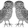 The Two Owls