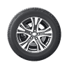 The Tyreman