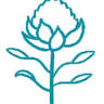 The Waratah Centre