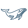 The Whale Wins