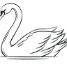 The White Swan