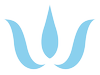 The Winchester Institute of Chiropractic Health and Wellness