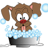 The Woofa Wash NT - Katherine Dog Grooming