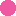 Think Pink Headquarters