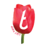 Poppies Coffee Shop