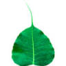 Three Thaise Massage En Therapie