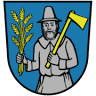 Town Hall of City Tiefenbach