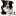 Tierarzt Dr. Minardo