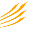 ABC-Coron GmbH