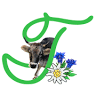Tillfussalm