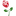 Tillie's Flower Shop