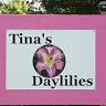 Tina's Daylilies