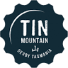 Tin Mountain