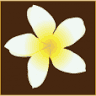 Tira Thai Massage