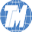 T M International Logistics Ltd
