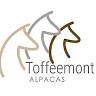 Alpaca Farm Tours with Toffeemont