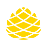 Kuupik Tamula