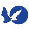 Tolga Bat Hospital - bookings essential