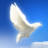Tollefson Funeral Home