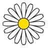 Tonibauer