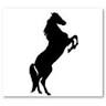 Toorbul Pony Club